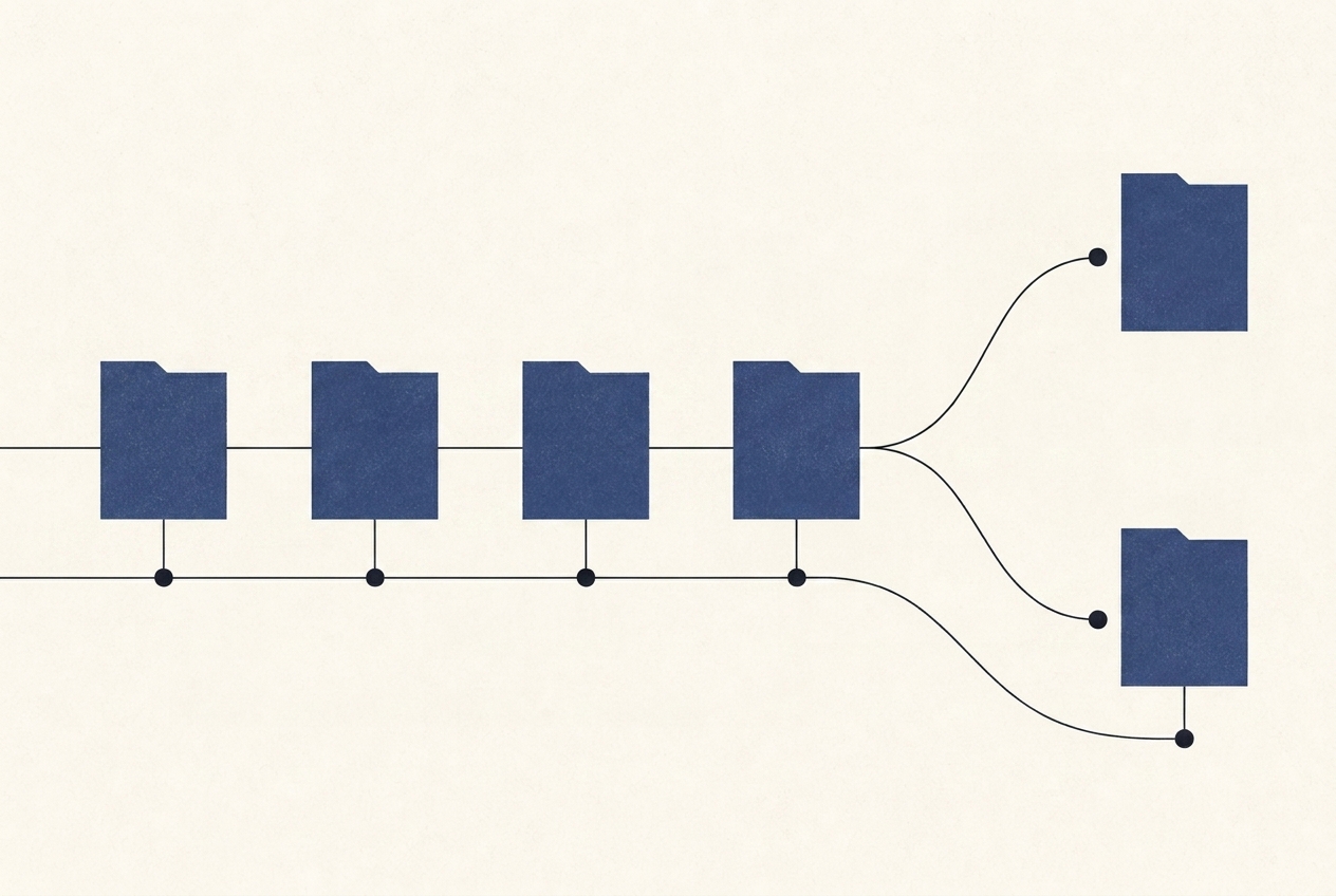 A horizontal timeline with branching outcome nodes — the dispute process